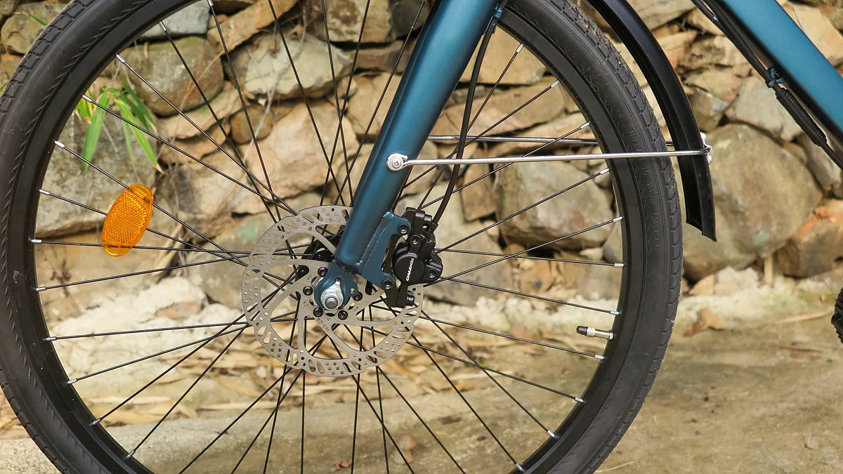 IMG_2234.jpg